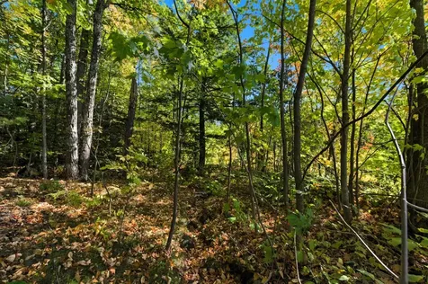85XXX Apple Hill Road Bayfield WI 54814
