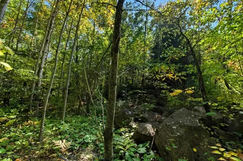 85XXX Apple Hill Road Bayfield WI 54814