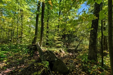 85XXX Apple Hill Road Bayfield WI 54814