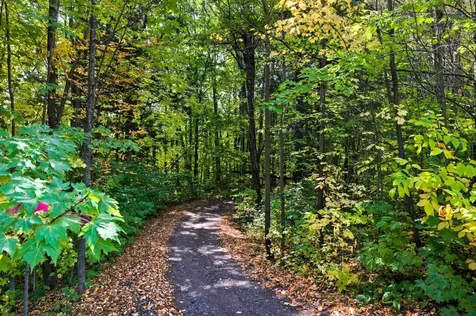 85XXX Apple Hill Road Bayfield WI 54814