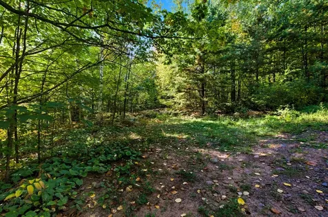 85XXX Apple Hill Road Bayfield WI 54814