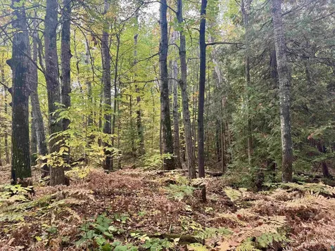 Tbd Eagle Run Bayfield WI 54814