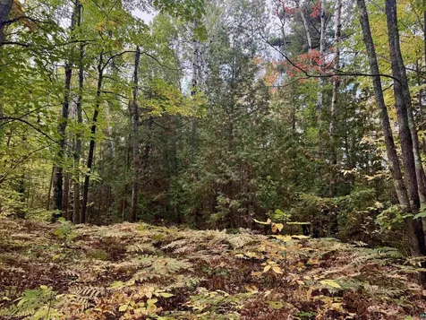 Tbd Eagle Run Bayfield WI 54814