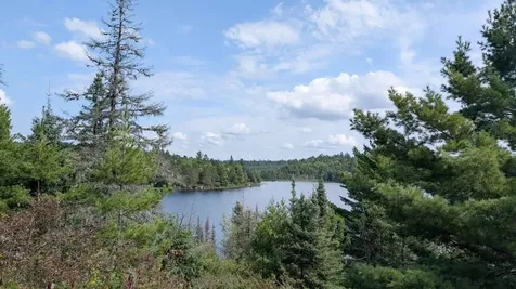 8450 Vermilion Drive Cook MN 55723