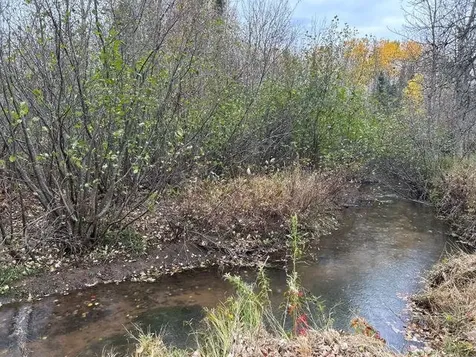 8353 Mannik Road Iron River WI 54847