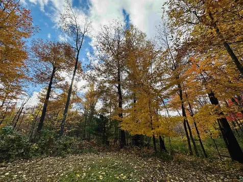 6955 Kolling Road Iron River WI 54847