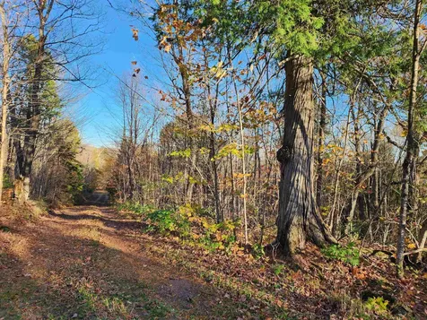 192 W Deeryard Lake Road Lutsen MN 55612