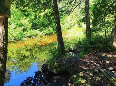 991 Ward Lake Road Lutsen MN 55312