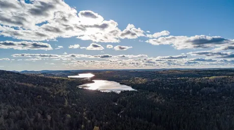 991 Ward Lake Road Lutsen MN 55312