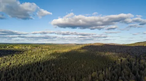 991 Ward Lake Road Lutsen MN 55312