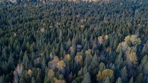 991 Ward Lake Road Lutsen MN 55312