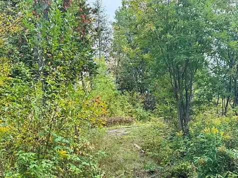 1541 Camp 20 Road Hovland MN 55606