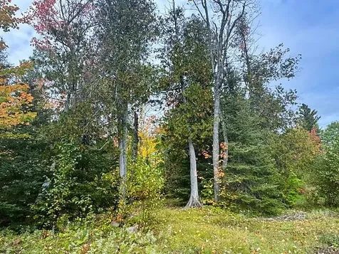 1541 Camp 20 Road Hovland MN 55606