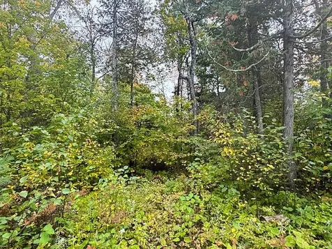 1541 Camp 20 Road Hovland MN 55606