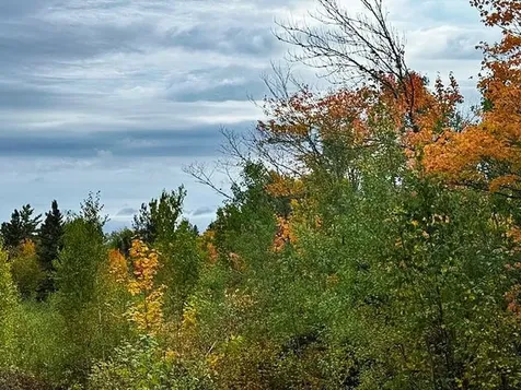 1541 Camp 20 Road Hovland MN 55606