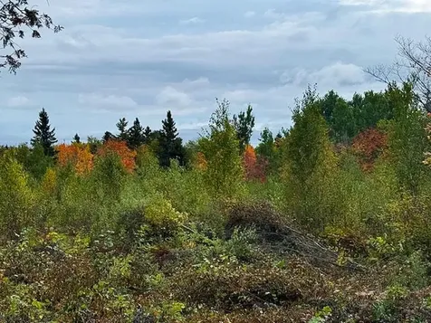 1541 Camp 20 Road Hovland MN 55606