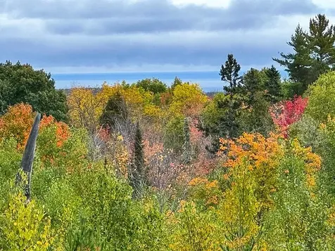 1541 Camp 20 Road Hovland MN 55606