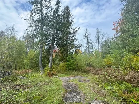 1541 Camp 20 Road Hovland MN 55606