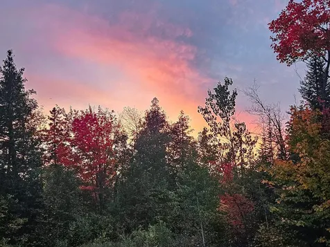 1541 Camp 20 Road Hovland MN 55606