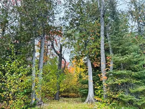 1541 Camp 20 Road Hovland MN 55606