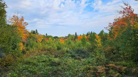 1541 Camp 20 Road Hovland MN 55606