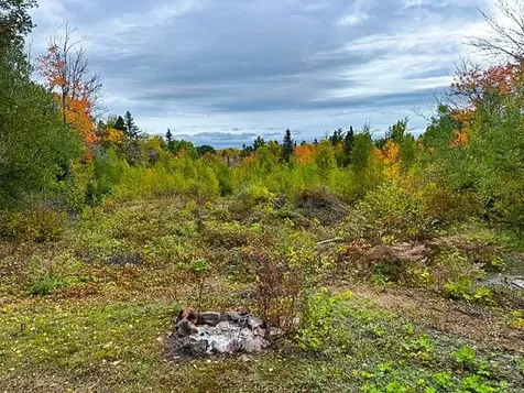 1541 Camp 20 Road Hovland MN 55606