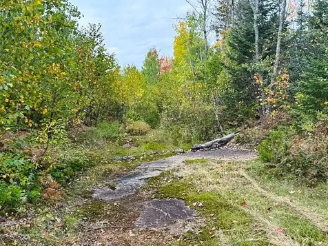 1541 Camp 20 Road Hovland MN 55606