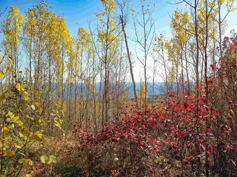 Abc Bally Creek Road Grand Marais MN 55604
