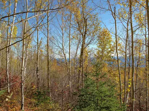 Abc Bally Creek Road Grand Marais MN 55604