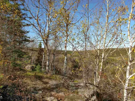 Abc Bally Creek Road Grand Marais MN 55604
