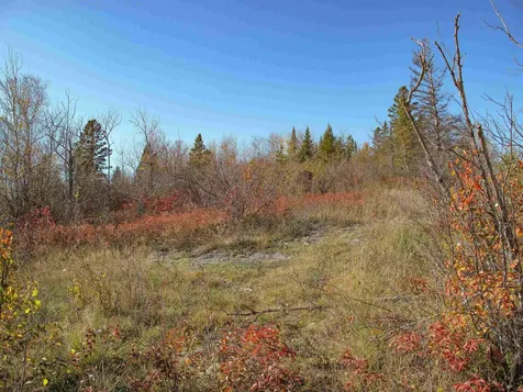 Abc Bally Creek Road Grand Marais MN 55604