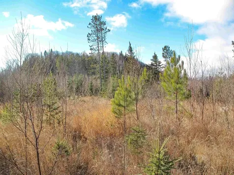 Abc Bally Creek Road Grand Marais MN 55604