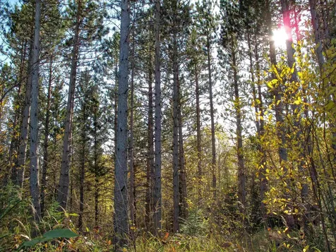 Abc Bally Creek Road Grand Marais MN 55604