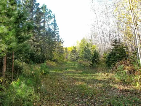 Abc Bally Creek Road Grand Marais MN 55604
