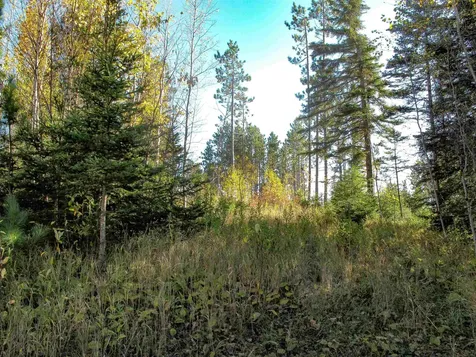 Abc Bally Creek Road Grand Marais MN 55604