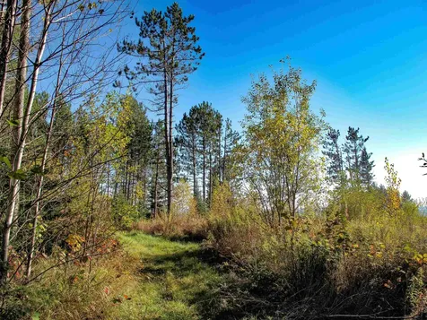 Abc Bally Creek Road Grand Marais MN 55604