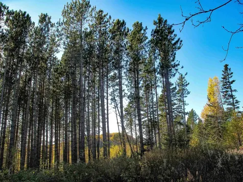 Abc Bally Creek Road Grand Marais MN 55604
