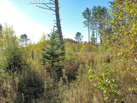 Abc Bally Creek Road Grand Marais MN 55604