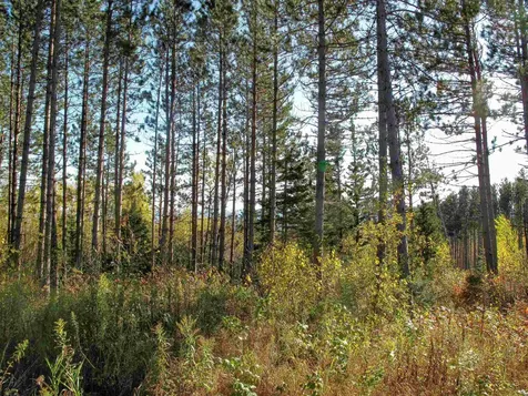 Abc Bally Creek Road Grand Marais MN 55604