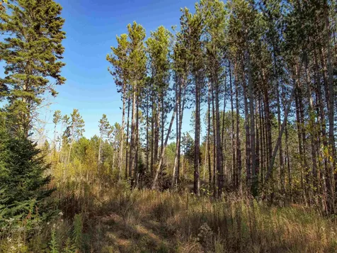 Abc Bally Creek Road Grand Marais MN 55604