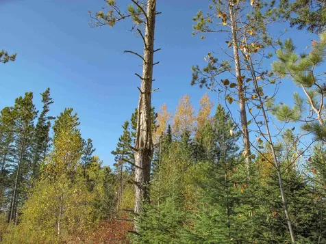 Abc Bally Creek Road Grand Marais MN 55604