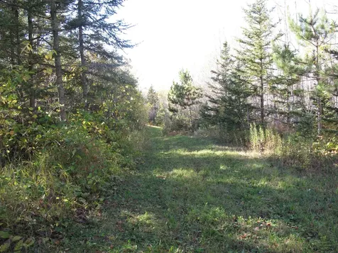 Abc Bally Creek Road Grand Marais MN 55604