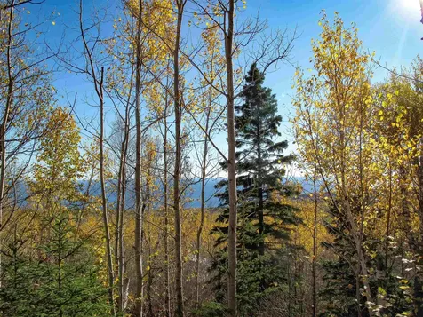 Abc Bally Creek Road Grand Marais MN 55604