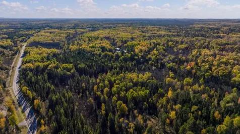 1365 S White Iron Road Ely MN 55731