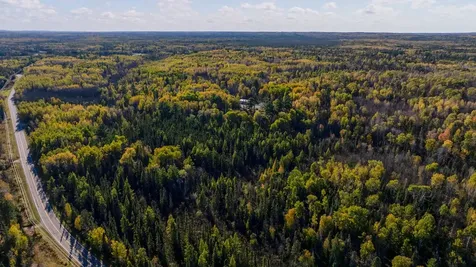 1365 S White Iron Road Ely MN 55731