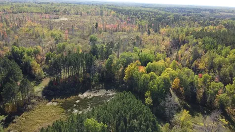 6821 Barrett Road Chisholm MN 55719