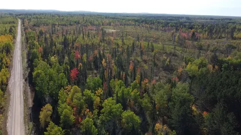 6821 Barrett Road Chisholm MN 55719