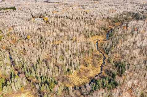 6048 Lakewood Road Duluth MN 55804-9617