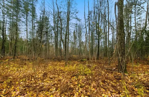 5654 Seville Road Hermantown MN 55811