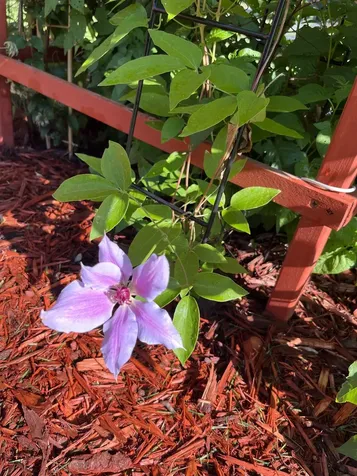 4057 Highway 11 International Falls MN 56649